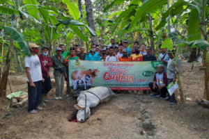 Program Sosial Zam Zam Tour : Qurban ke Pelosok Negeri
